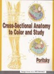 Cross-Sectional Anatomy to Color and Study