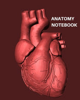 Anatomy NoteBook: Dot Grid matrix Journal for medical staff and students| 150 pages with an anatomy cover finish A4 size Sketch/ note/anatomy colori