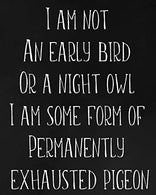 I Am Not An Early Bird Or A Night Owl I Am Some Form Of Permanently Exhausted Pigeon: Academic Planner July 2019- June 2020 Weekly And Monthly Organ