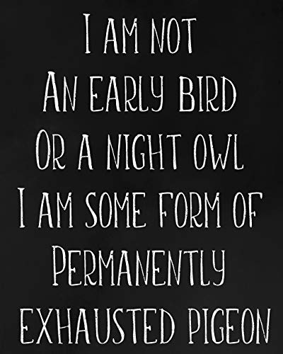 I Am Not An Early Bird Or A Night Owl I Am Some Form Of Permanently Exhausted Pigeon: Academic Planner July 2019- June 2020 Weekly And Monthly Organ