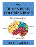 The Human Brain Coloring Book: Human Brain Student's Self-Test Coloring Book. Human Brain Model Anatomy. Human Brain Diagram. Human Brain Art. Human