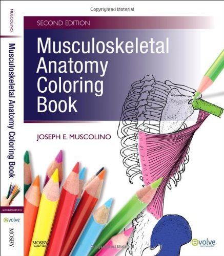 Musculoskeletal Anatomy Coloring Book